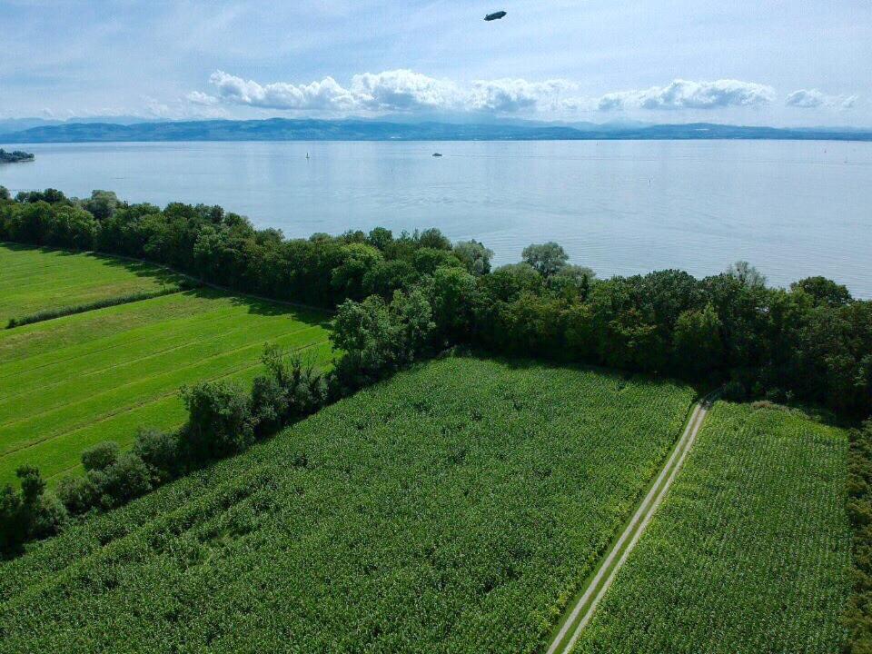 Ferien-apartment Seehas Mit Privatstrandzugang * Friedrichshafen